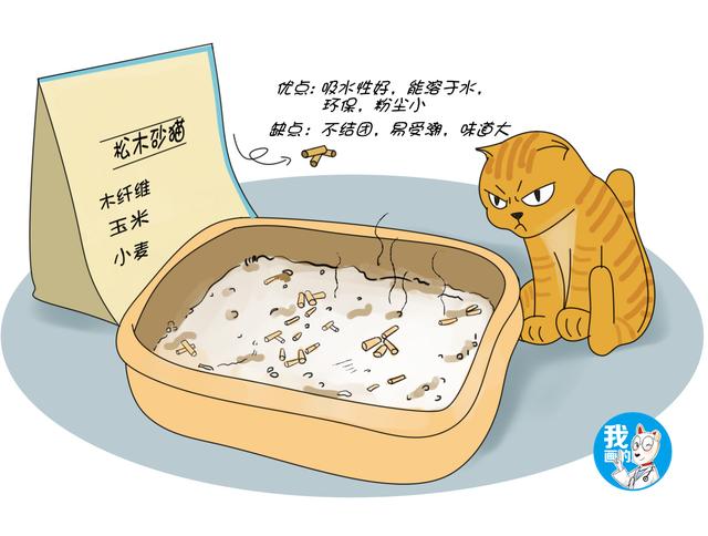 猫砂 猫砂（猫砂是什么） 动物