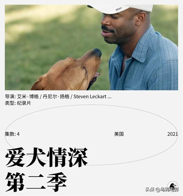 罗德西亚脊背犬