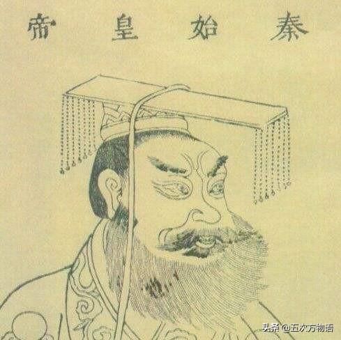 鲍鱼是真的鱼吗