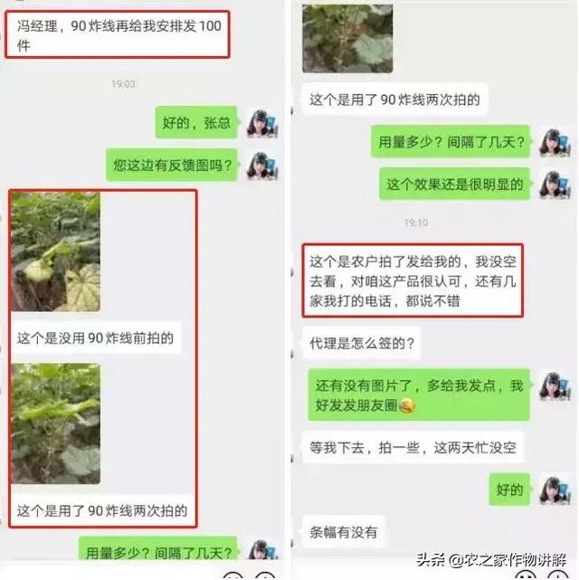 四招防治香蕉根结线虫！彻底根绝不是梦3