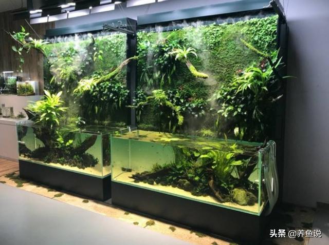 鱼缸水浑浊怎么办