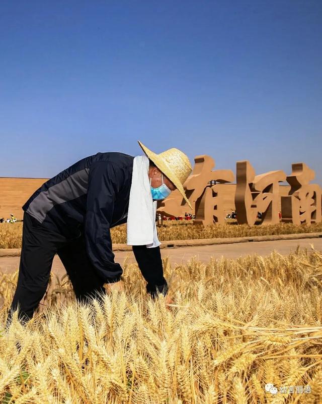 让美育走进家庭之手指印画—小麦