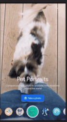 能检测乳腺癌，还能让渐冻症患者“开口说话”，谷歌这次有点东西