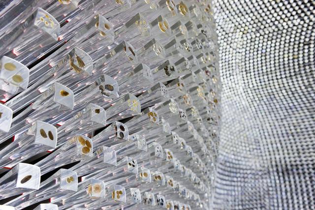 迪拜的建筑工程立靣展显