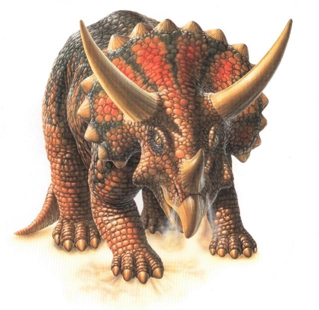 三角龙主要以什么为食物为主(三角龙主要以什么为主)|520常识网