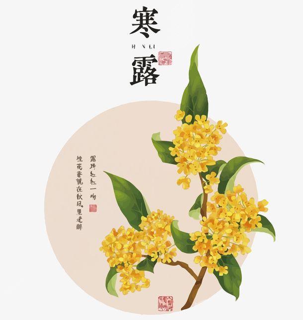 迷迭香的花语