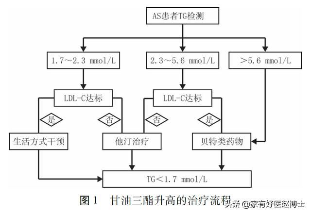 为何血脂没超标，医生却让吃降脂药？又为何有的血脂高不需吃药？