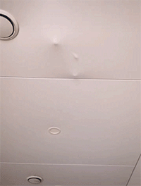 爆笑的动图图片：一只会洗衣服的二哈，有要的没