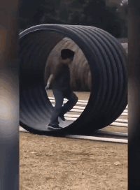 爆笑的动图GIF:谁知道它是怎么变绿的?