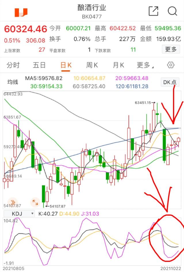10.22号午新能源车 光伏 白酒 券商 基建 煤炭 等分析后市（顺势而为）