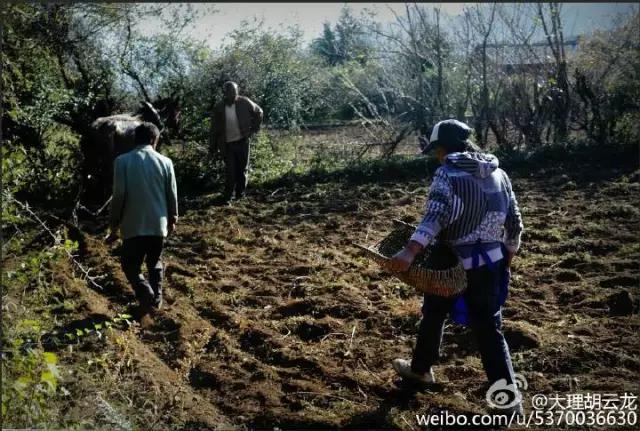 临沧轮式洗砂机报价