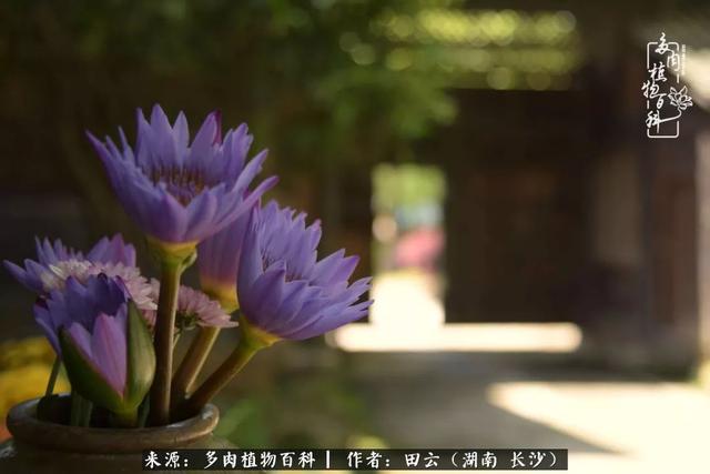 影片剧照