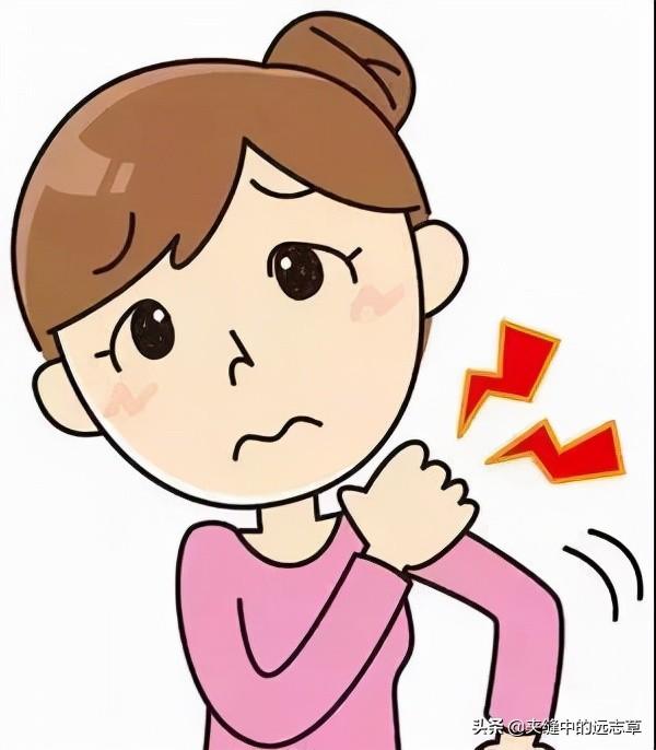 平时常吃的葛根，其7大功效，你都知道几个？花3分钟来了解下吧