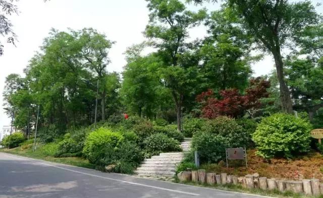 鞍山海沙淡化洗砂机厂家