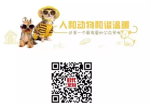 宠物食品生产机械展