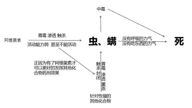 「彻底消灭红蜘蛛」阿维菌素：虫螨克星！2个最佳复配方法2