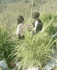 爆笑的GIF动图：谁能看明白，她这一滚为了什么！