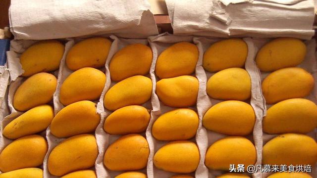土豆不宜存放在什么地方