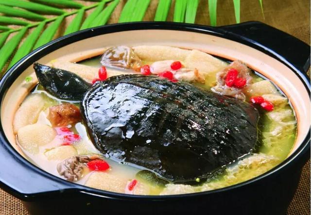 癌症患者吃什么肉好？五种高蛋白肉类可放心吃