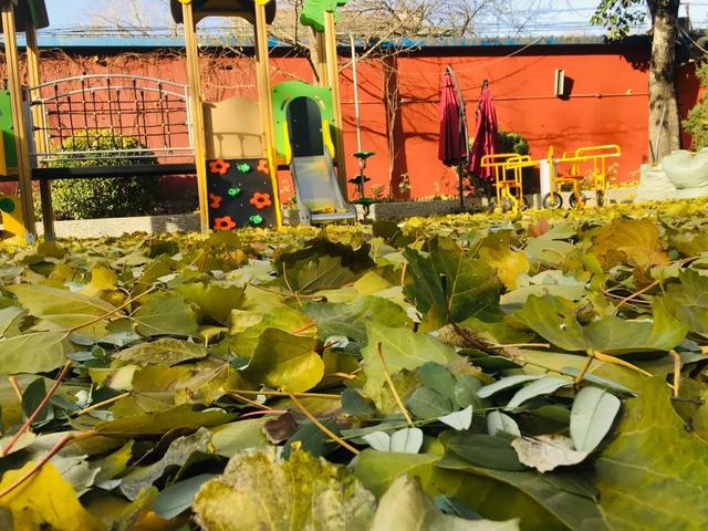 「独家」跳舞树叶贴画(跳舞树叶手工贴画)