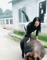 小姐姐内涵GIF：姑娘有什么事冲我来，这头猪真受不了！