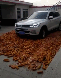 搞笑的GIF图片：绝对想不到做菜镜头是这样拍的