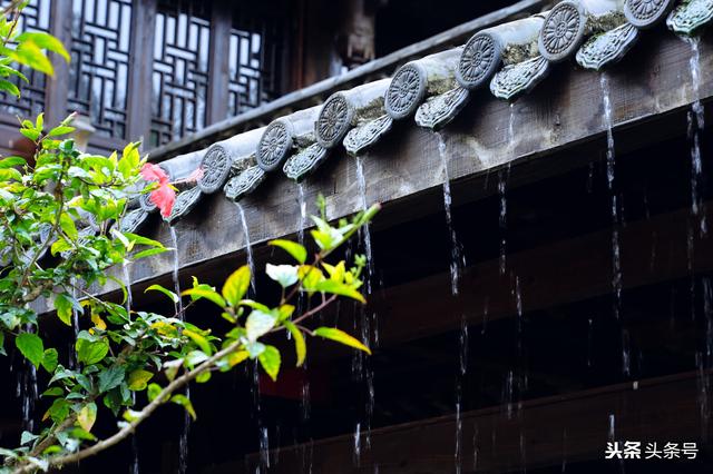 人的一生就像一场雨