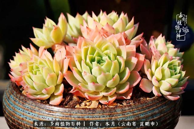 安康石英砂洗砂机厂家电话