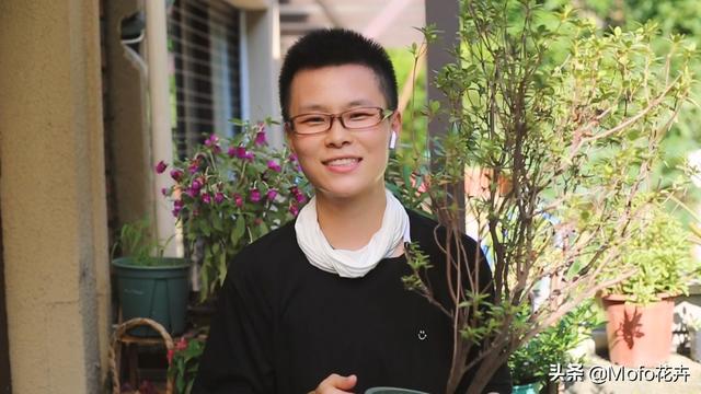 杜鹃花的养殖方法和注意事项（园艺师教你杜鹃花怎么养）