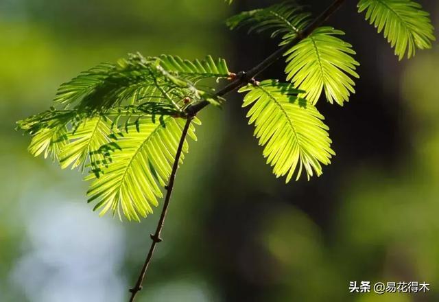 勐腊螺旋洗砂机批发