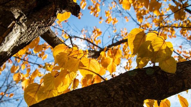 秋冬天身体干燥怎么办？简单的生活小常识