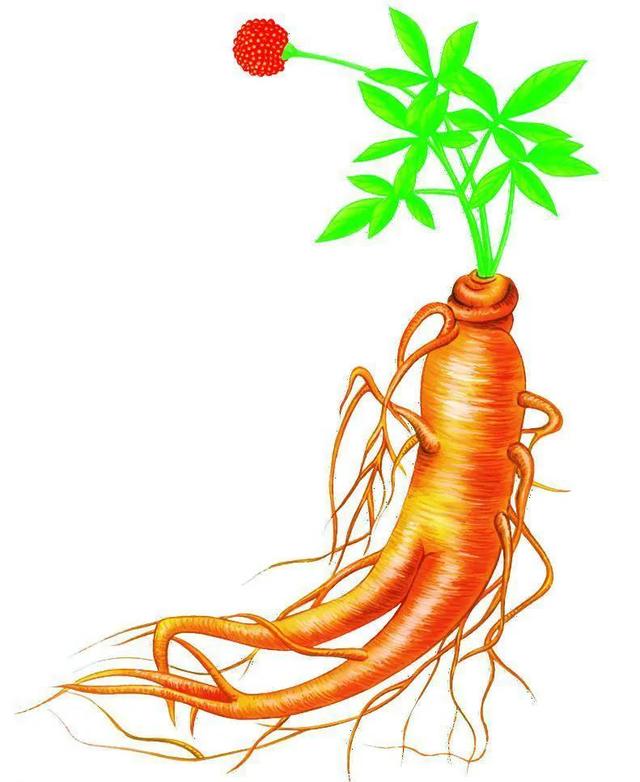 阴阳两虚、气血亏虚、寒热虚实错杂，但虚不受补，常用仲景薯蓣丸