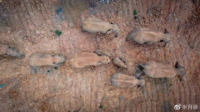 昆明挖斗洗砂机销售厂家