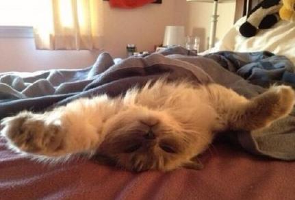 为什么宿醉之后，很早醒，还特别精神？