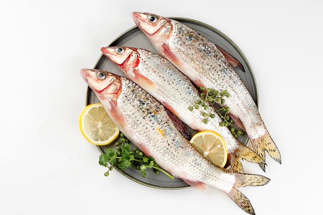 花骨鱼养殖技术视频 花骨鱼的养殖要注意什么,注意水体的颜色,适当