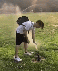 爆笑的动图GIF：让你天天玩我，我一口水喷死你