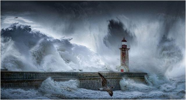 2022年若发生经济危机，普通人应该怎么做？（上）