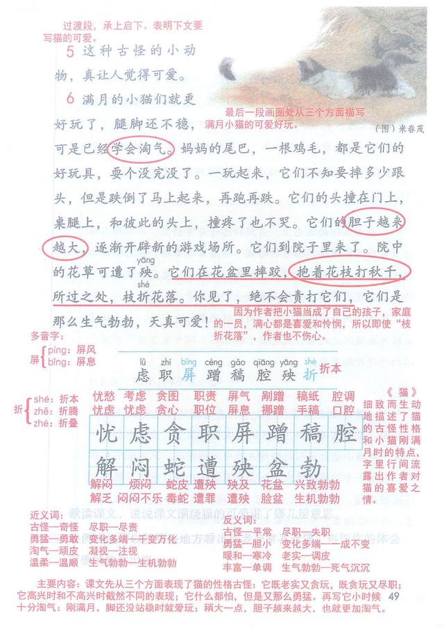 猫 课文,四年级下册语文第13课《猫》课堂笔记?