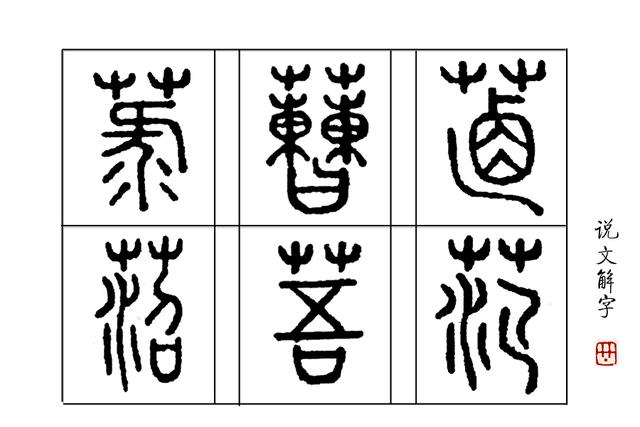 緌的读音