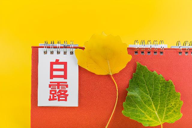 白露｜气温逐渐下降，避免过度“秋冻”