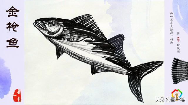 金枪鱼是热血动物吗，热血航线莉香的金枪鱼