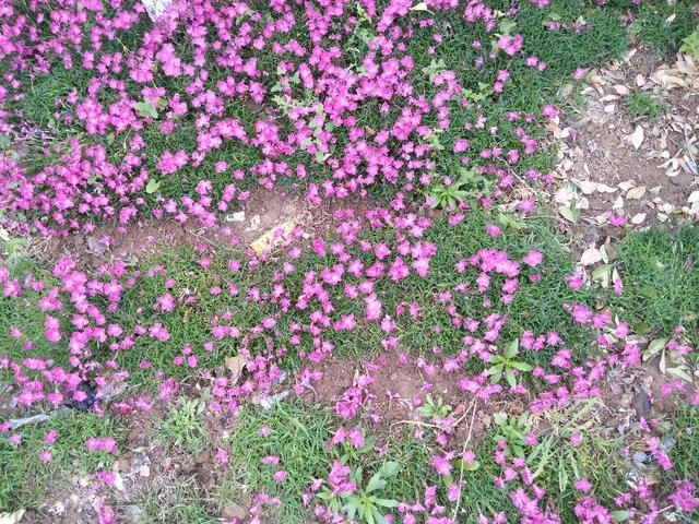 老年人远离烟酒，对身体健康有好处