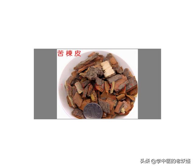 每天学习一味中药——苦楝皮