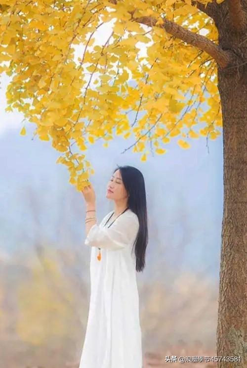 时光如昨细数，岁月深秋几度「散文」