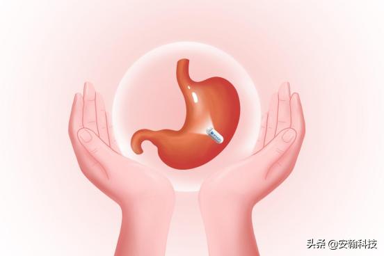 涨姿势！古人养胃三大饮食原则“适时、适度、适中”