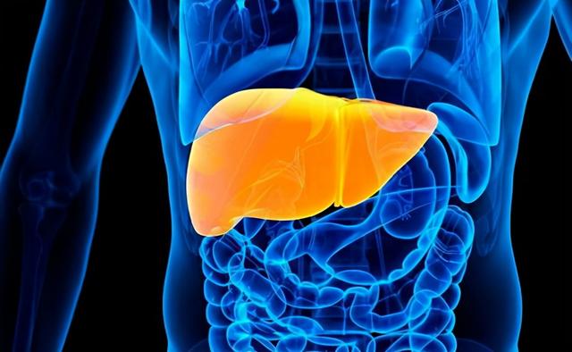 天天睡眠充足，但每天经常犯困瞌睡，医生：有病作祟