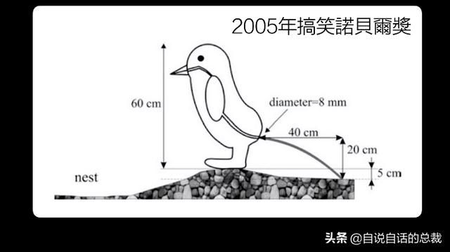 企鹅会飞么