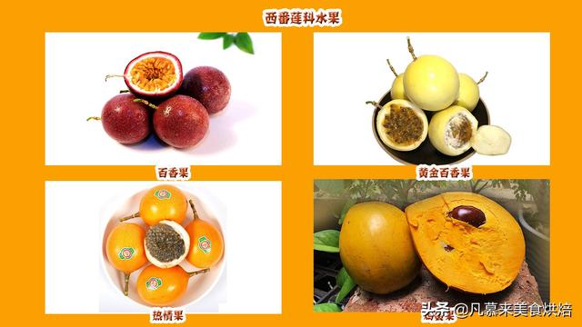 水果有哪些