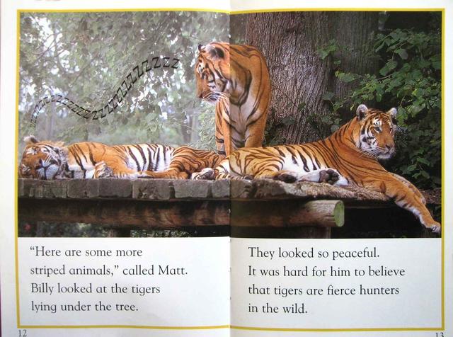 儿童英语科学启蒙绘本DK  Readers分级读物DK  pre--level  4