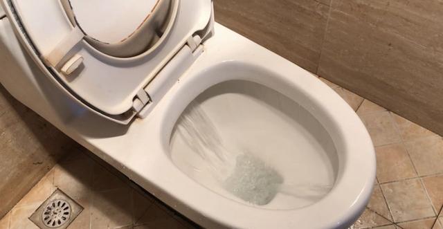 科研人员发现，食物吃下后排出体外的速度，与肠道健康有联系—上